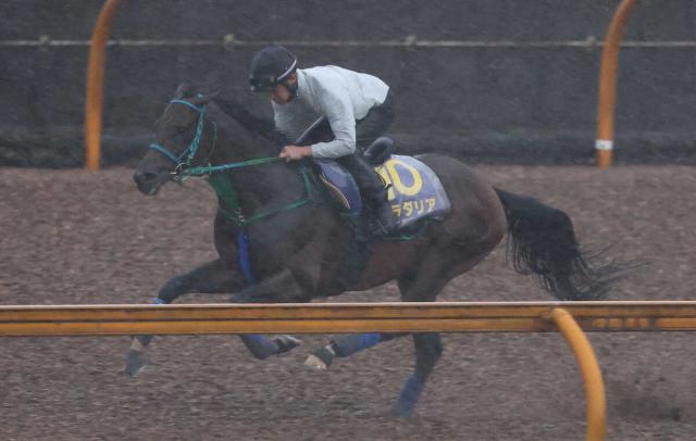 【宝塚記念】プラダリア　ラストの反応に好感　道悪も歓迎「周りが苦にするなら良さそう」