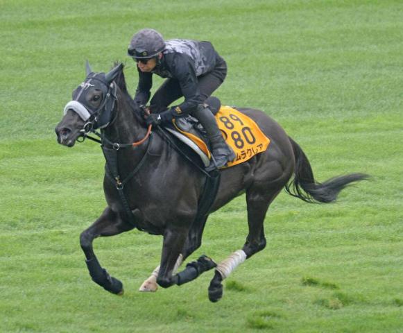 【函館SS】ナムラクレア　馬なりで自己ベスト更新　長谷川師「体調面を含めて順調」