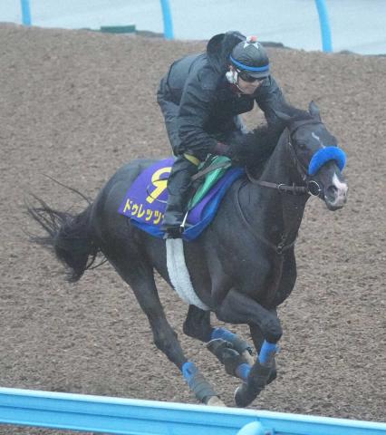 【宝塚記念】5歳馬は過去10年で7勝　ドゥレッツァは渋った馬場への対応が鍵