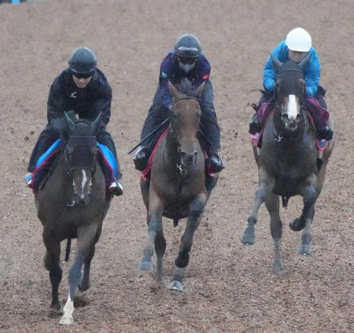 【宝塚記念】レガレイラ“紅一点”ながら勝機十分　前年有馬V馬と好相性