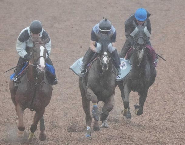 【宝塚記念】アーバンシック充実　馬なりで奇麗な加速ラップ　武井師「ここで名誉挽回したい」