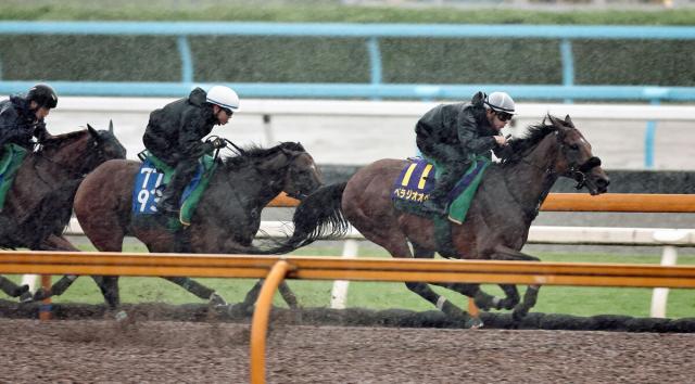 【宝塚記念】ファン投票1位に応えG1連勝へ上村調教師「中距離路線の王者としての貫禄を見せつけられれば」　