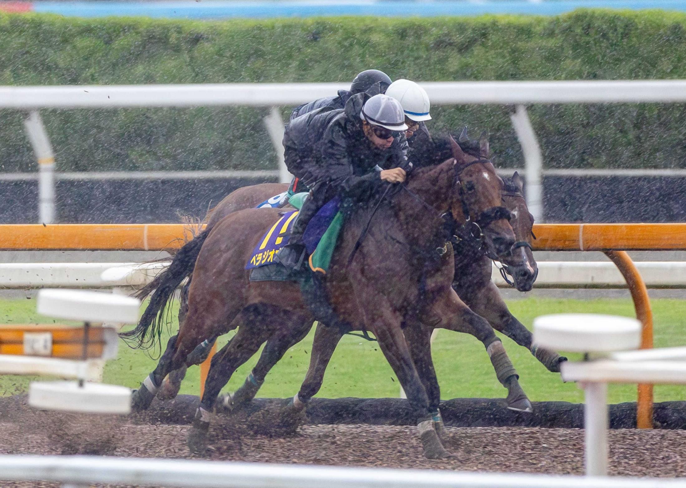 【宝塚記念】ベラジオオペラ　昨年の雪辱　大阪杯から上積み　横山和「折り合いの良さ、反応の鋭さ確認」