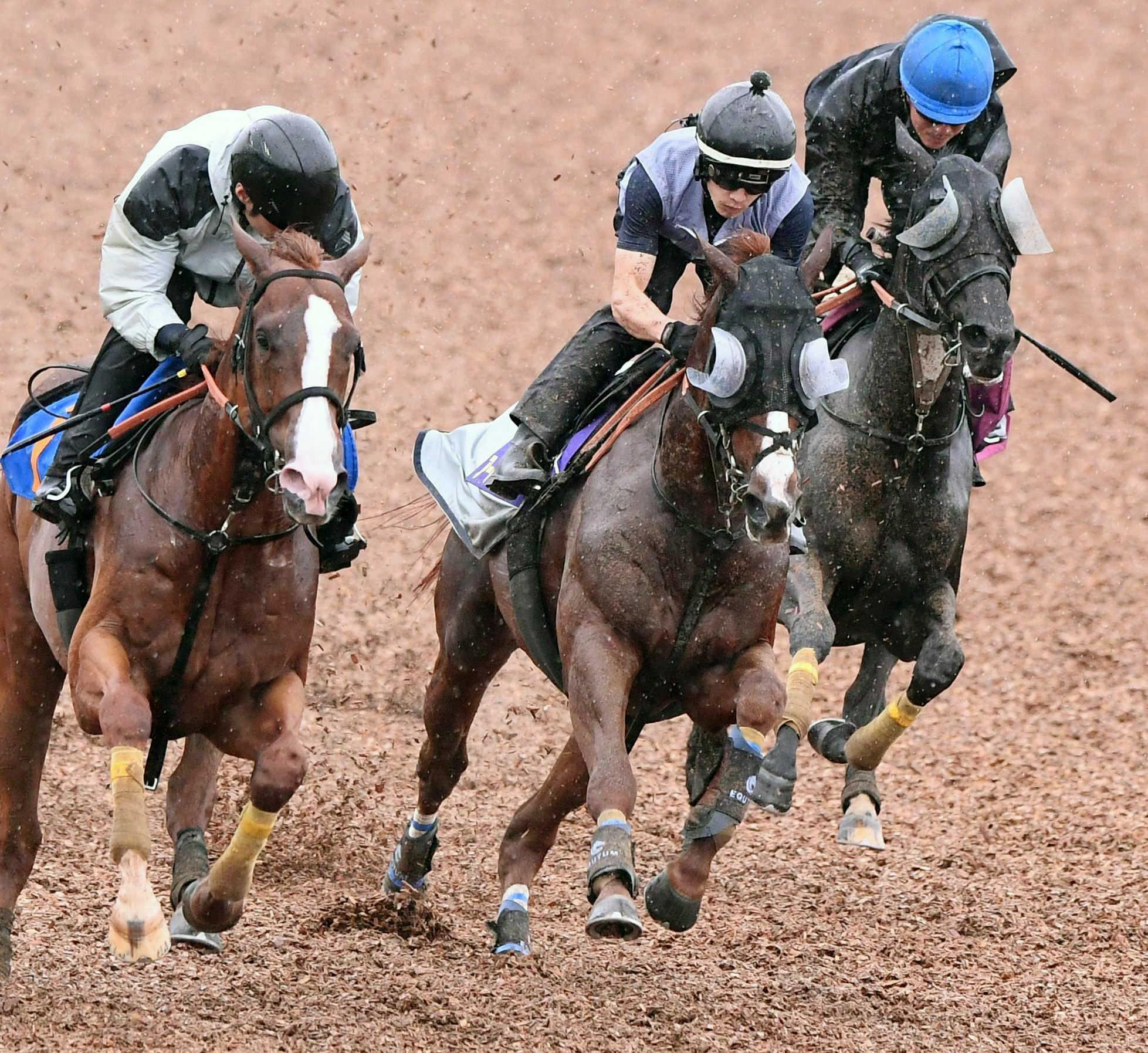 【宝塚記念】アーバンシック　逆襲リハ　２４年菊花賞馬の意地見せる！武井師「名誉挽回したい」