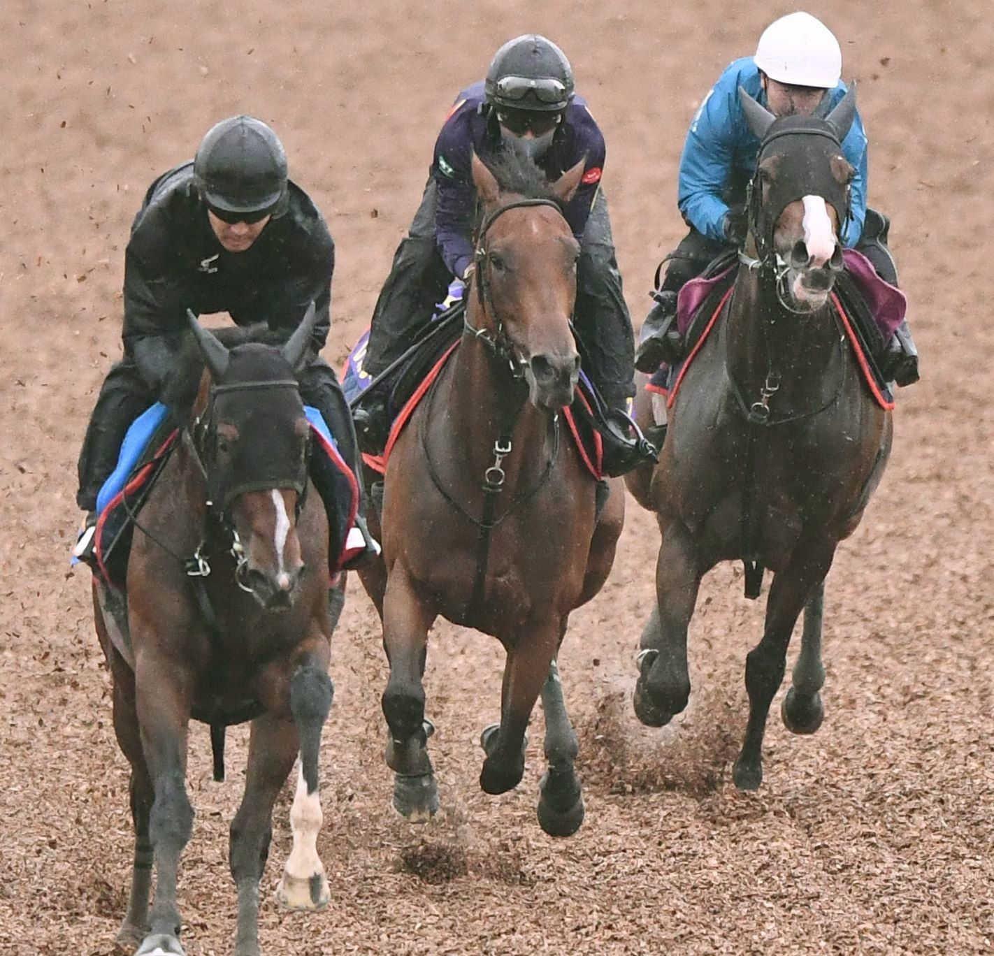 【宝塚記念】レガレイラ　貫録の動き　久々もさすがＧ１馬　木村師「予定通りに立ち回れていた」