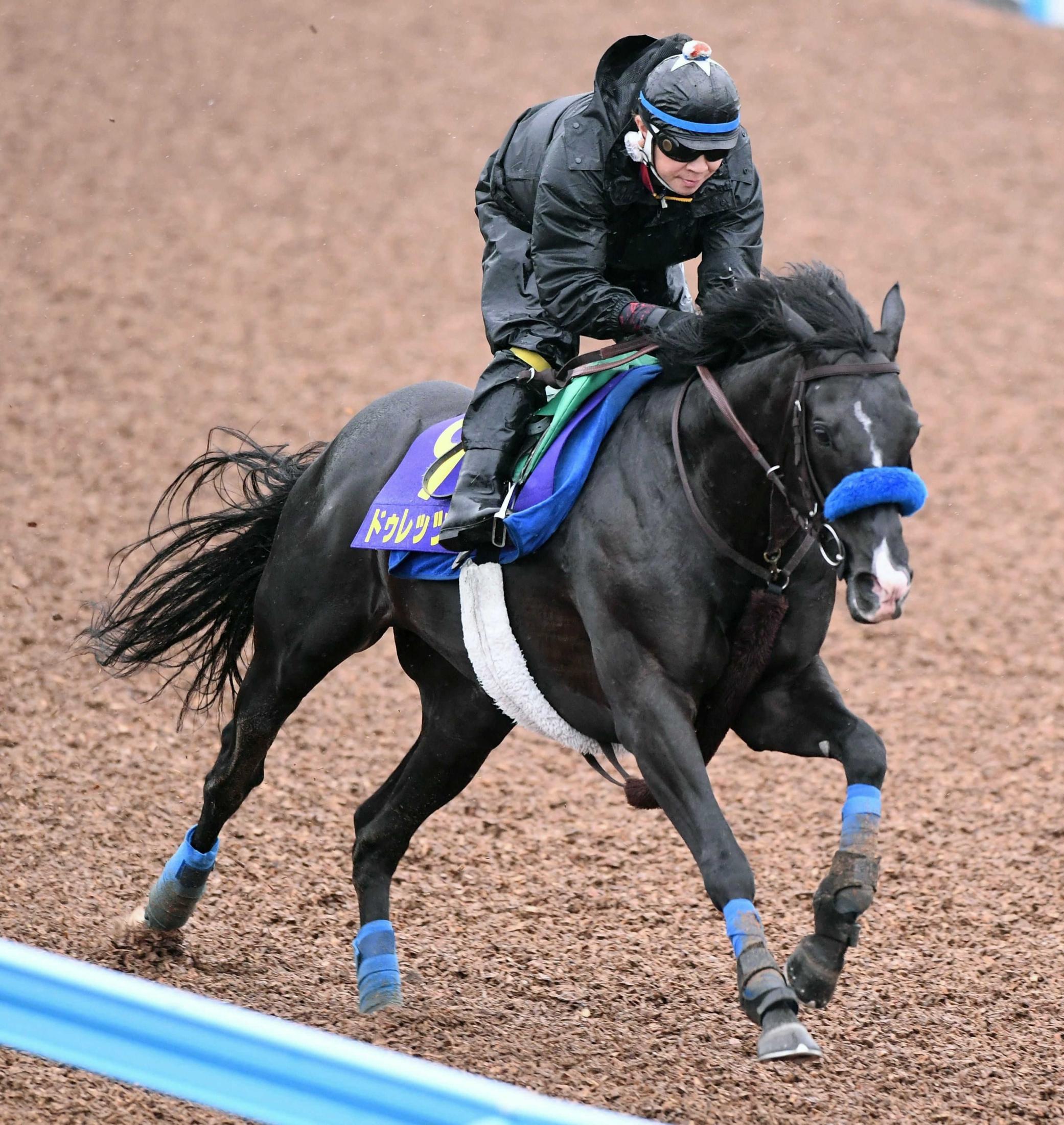 【宝塚記念】ドゥレッツァ　態勢万全　推進力抜群　海外遠征帰りも尾関師「馬体面に問題ない」