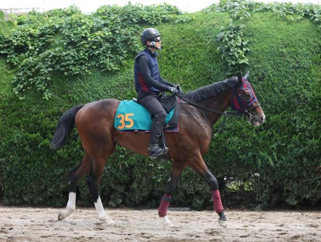 【POG】6・21デビューの良血モノポリオはトレセンでも評判の動き　森一調教師「来年の春を目指していける」