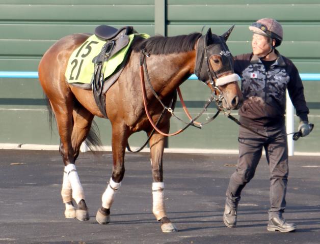 【POG】近親にG1馬ワールドプレミアを持つカイショー　函館開幕デーの初陣へ好気配