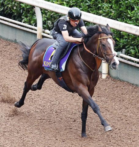 【宝塚記念】ダノンベルーガが出馬投票直前で出走を回避　騎乗予定だったレーン騎手はチャックネイトに騎乗へ