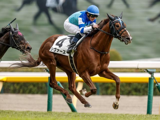 【有力馬動向】大魔神血統馬シヴァースが上がり重点に躍動 新設重賞・しらさぎSでも注目/馬三郎のつぶやき
