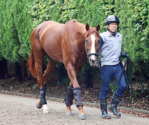 【宝塚記念】アーバンシックは菊花賞と同じ7枠13番　追い切り後も武井調教師「雰囲気いい」