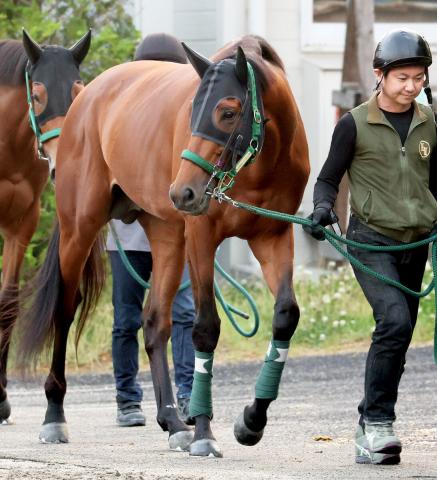 【宝塚記念】大阪杯連覇ベラジオオペラは1枠1番　テイエムオペラオー以来の勝利へ上村調教師「悪い枠ではない」