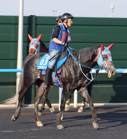 【函館スプリントS】ビッグシーザーが脚部不安で回避も骨に異常はなし　西園正調教師「また秋から」