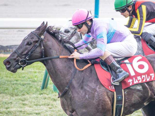 【函館SS出走馬・騎手確定】ナムラクレア＆C.ルメール騎手、ジューンブレア＆武豊騎手など16頭