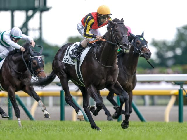 日本ダービーをサンデーRC所属馬が勝った年は“西高東低”!? 今年の宝塚記念も関西馬独占か