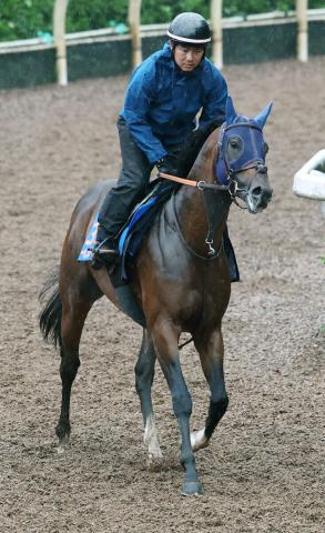 【注目馬動向】レーベンスティールは川田将雅騎手で新設重賞のしらさぎSへ　初コンビでマイル挑戦