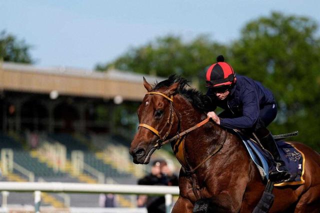サトノレーヴがムーアを背にQE2ジュビリーS1週前追い　堀師「多くの方々のサポートを受けて良い状態」
