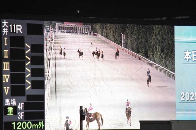 【大井競馬】メイン11Rでカンパイ(スタートやり直し)が発生　大井では23年4月以来