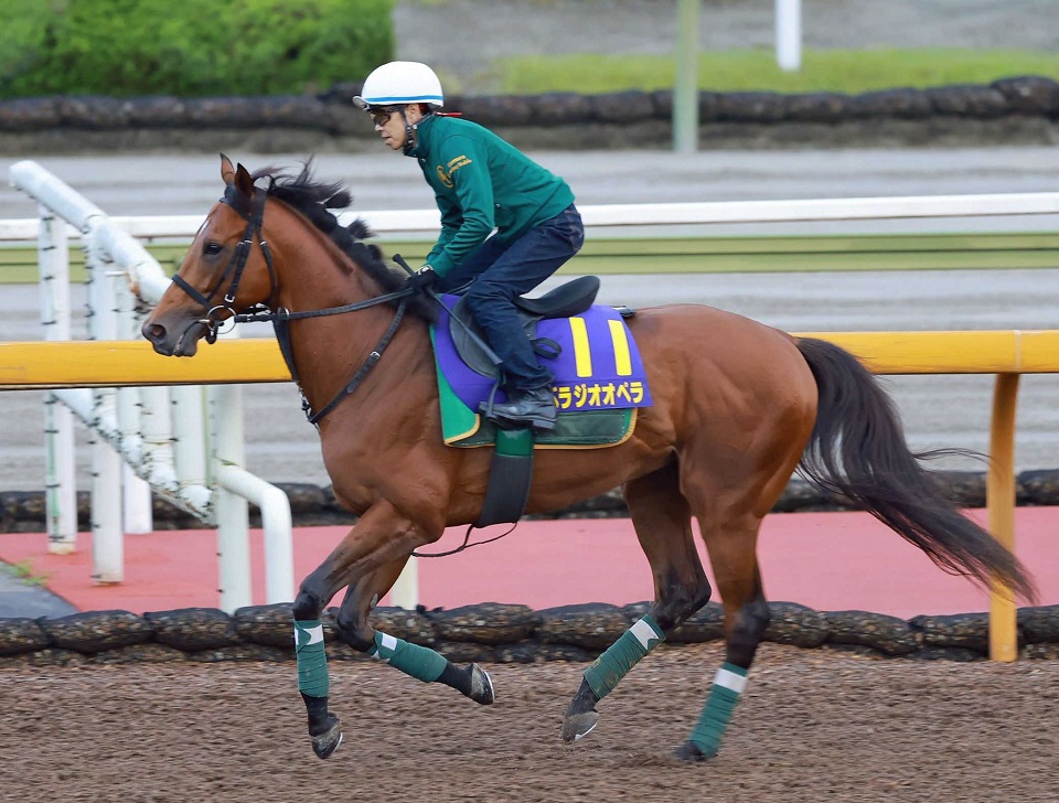 【宝塚記念】ベラジオオペラ　最内の１枠１番　上村師の予感的中「悪い枠ではない」