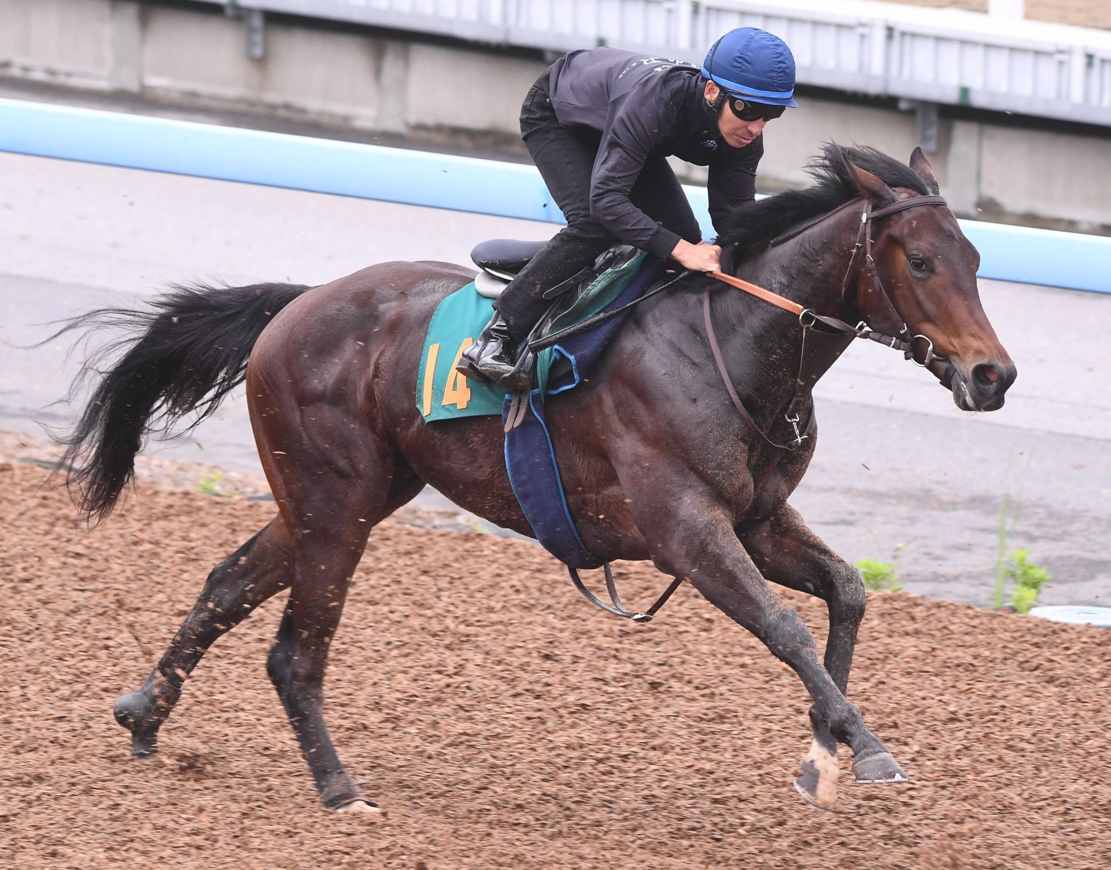 【新馬戦】ユマハム　３冠馬の父へ初Ｖ届ける　山崎助手「時計的にも予定通り」