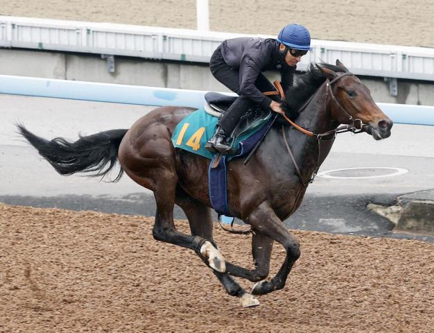 【15日・東京5R】無敗3冠馬コントレイルの初年度産駒がいよいよデビュー「走ることにかけては並以上のものがある」