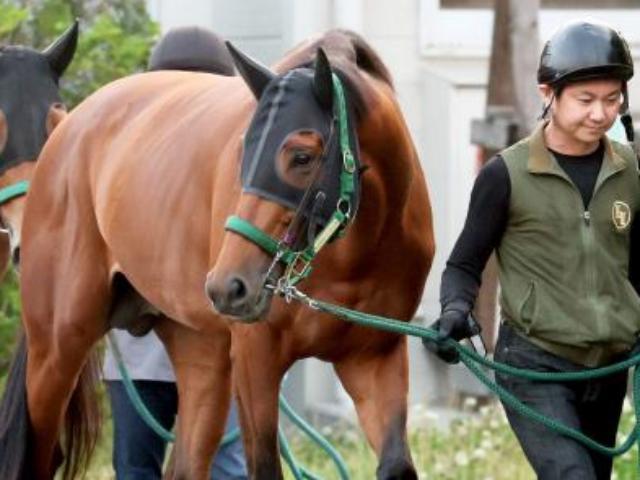 【宝塚記念】大阪杯V2馬が試練の1枠1番　00年テイエムオペラオー以来の勝利へ上村調教師「悪くない」