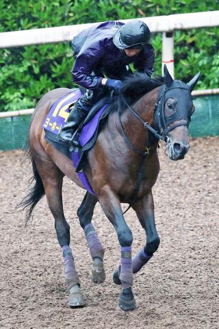 【宝塚記念】大阪杯3着のヨーホーレイクは角馬場で軽快　友道調教師「まだ若いと思う」