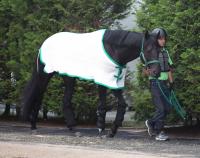 ジャスティンパレス