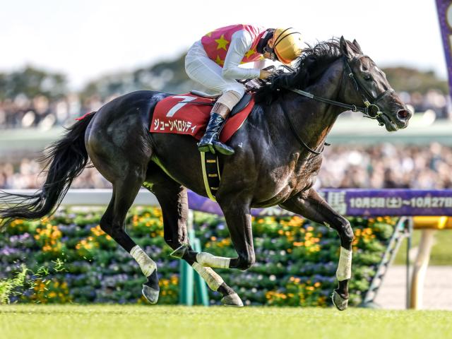 【東京JS予想】ジューンベロシティの3連覇なるか ポイントは14の障害よりも400mの直線勝負