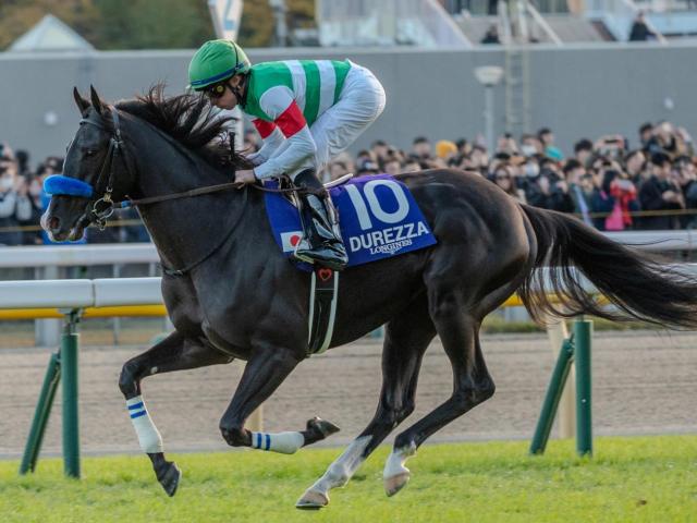 【宝塚記念予想】2週繰り上げで傾向に変化は生まれるか 上半期のグランプリ