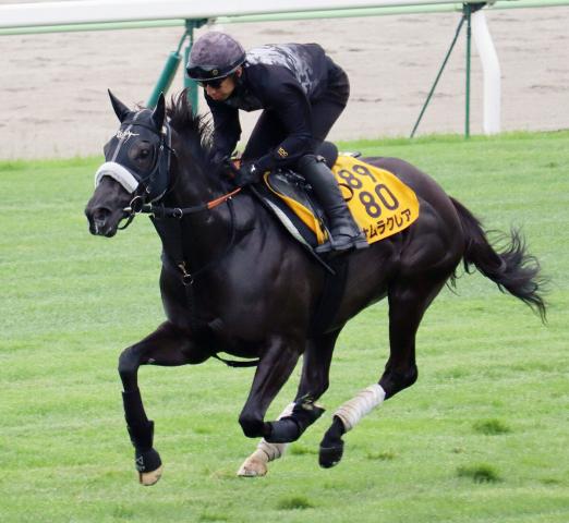 【函館スプリントS】ナムラクレアは状態に太鼓判　長谷川調教師「本当に状態はいいと思います」