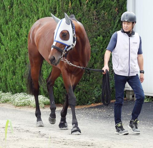 【宝塚記念】春の総決算は海外帰りの4歳馬から一撃を
