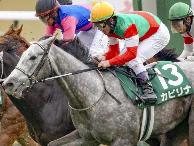 函館芝1200mは内＆前ベター 函館SSはカピリナが重賞初制覇のチャンス