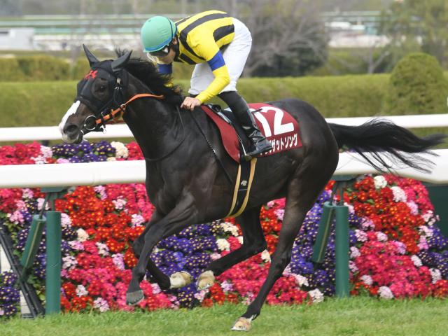 【有力馬動向】シングザットソングGIIIで巻き返す/馬三郎のつぶやき