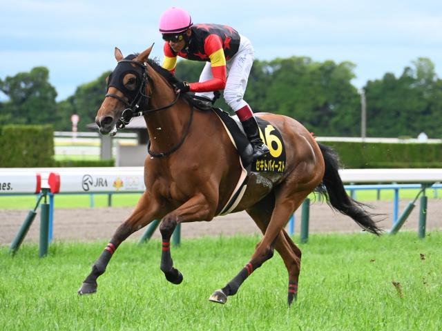 【府中牝馬S想定馬・騎手】セキトバイースト、フィールシンパシーなど14頭
