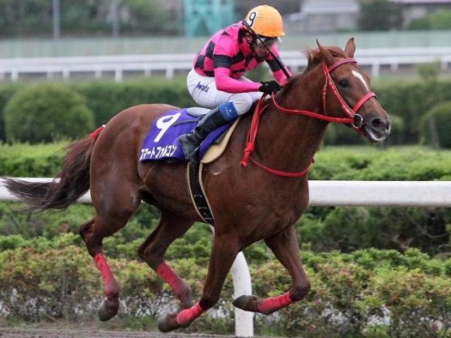 スマートファルコンのさきたま杯V2から15年 4馬身差の圧勝で達成した史上初