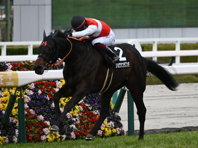 【週末情報】ショウナンラプンタ外枠歓迎/馬三郎のつぶやき