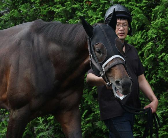 【宝塚記念】(15)ロードデルレイ　力の出せる状態　陣営「良馬場の方がいい」