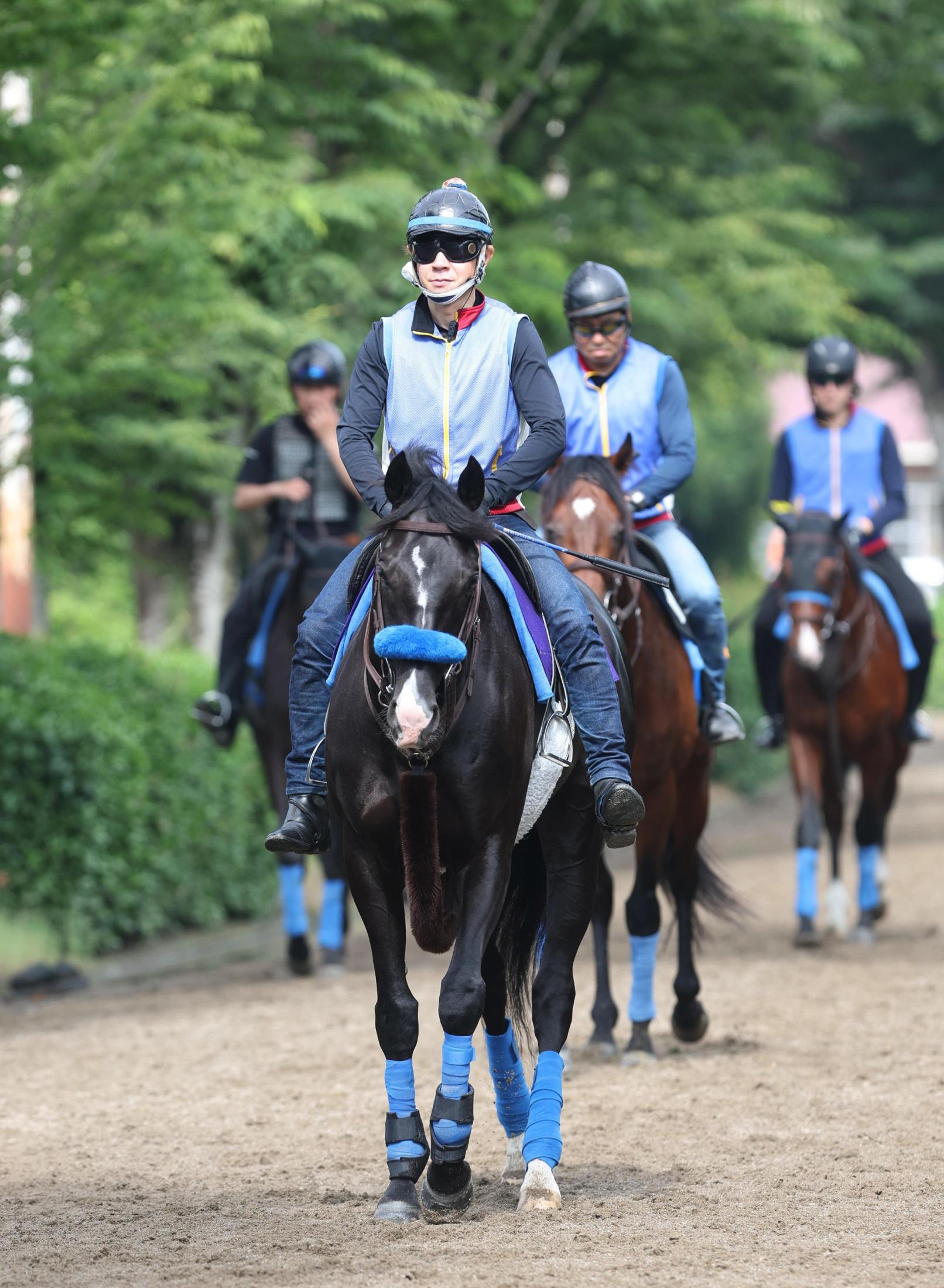 【宝塚記念】ドゥレッツァ美浦での最終調整　尾関師「いい状態をキープしていて雰囲気もいい」　天候の回復願う
