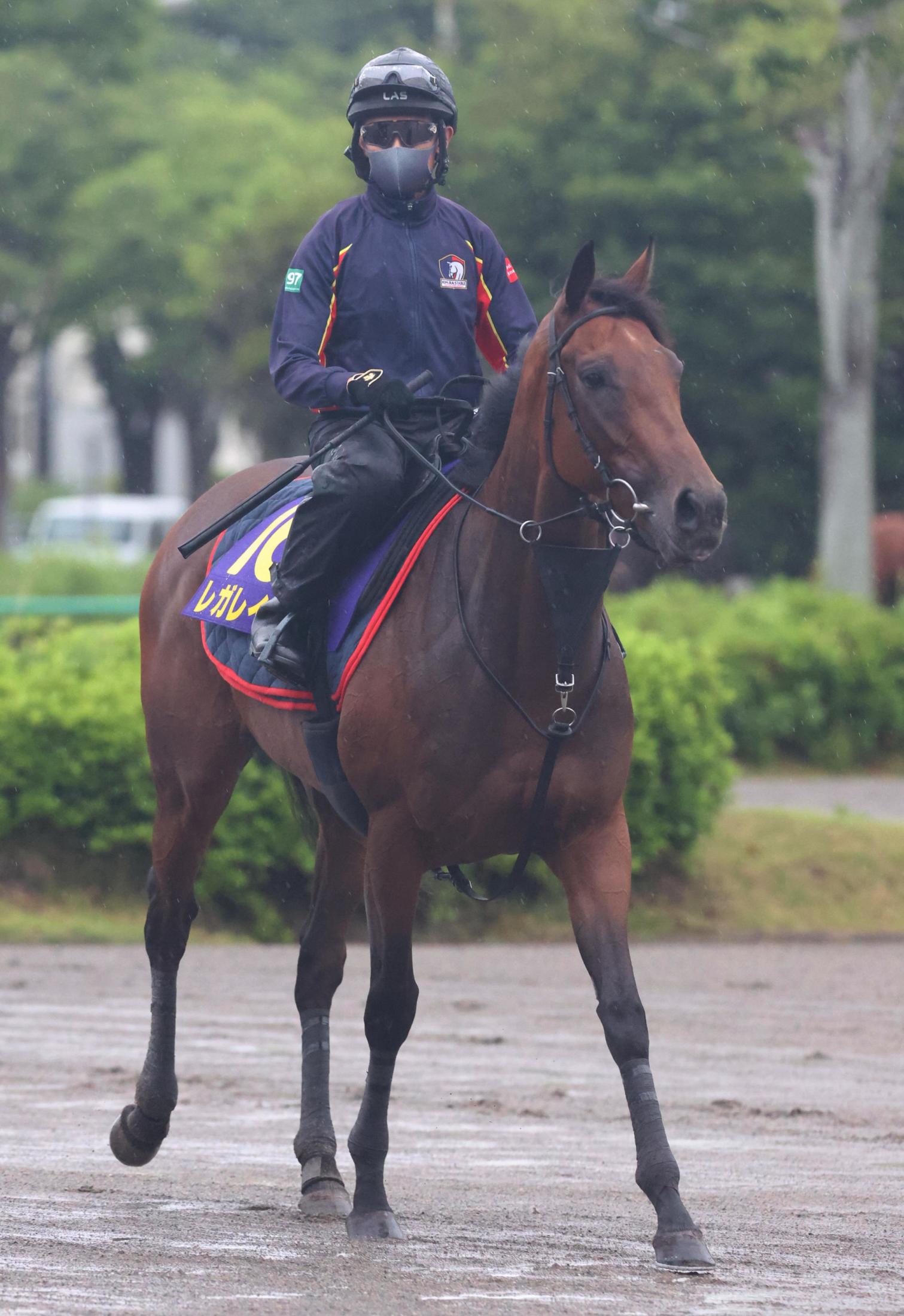 【宝塚記念】レガレイラ　阪神競馬場に到着　太田助手「さらに一段上がった気がします」と好感触