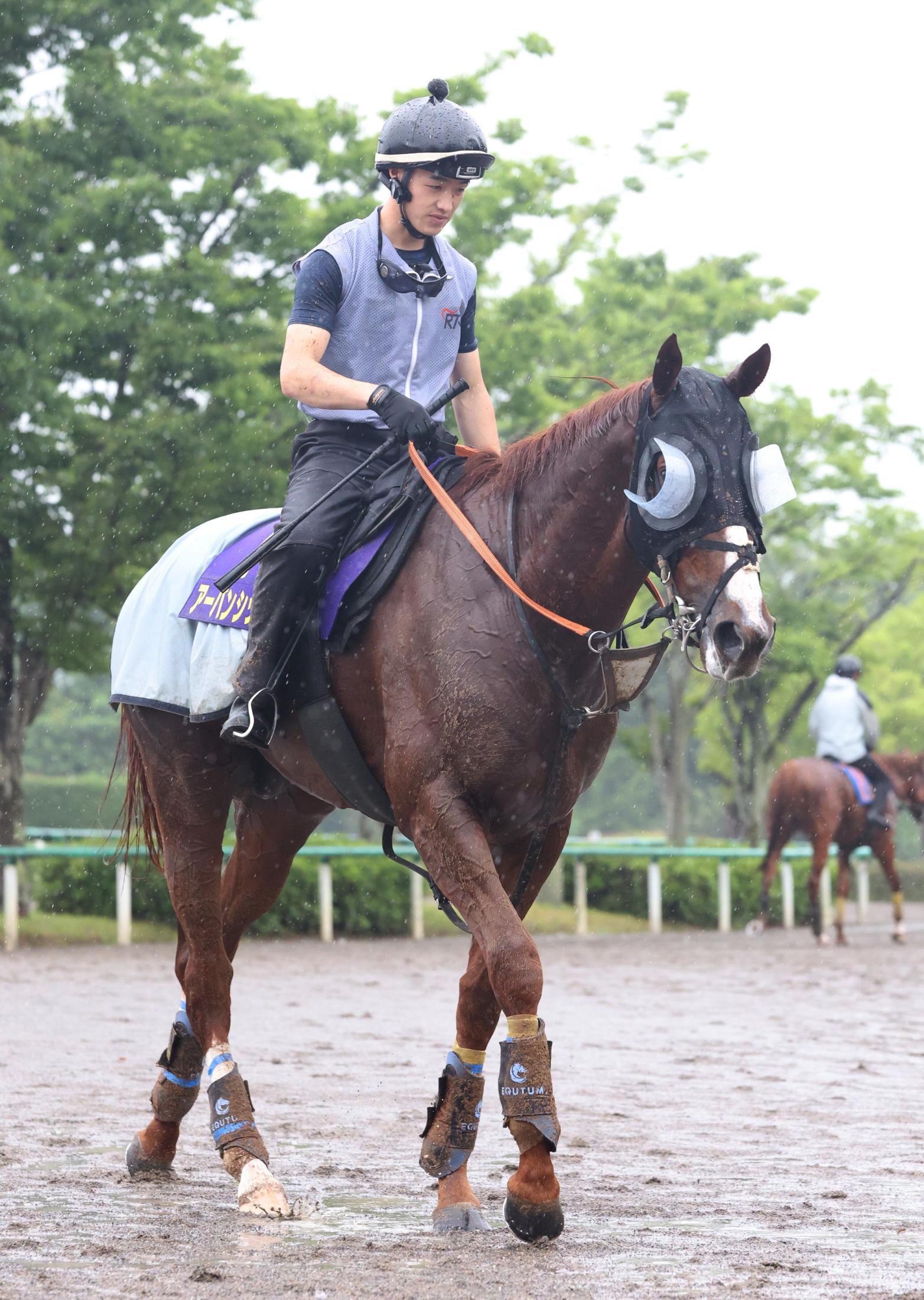 【宝塚記念】アーバンシック　菊花賞以来の関西輸送も問題なし　武井師「今回も気にしていない」