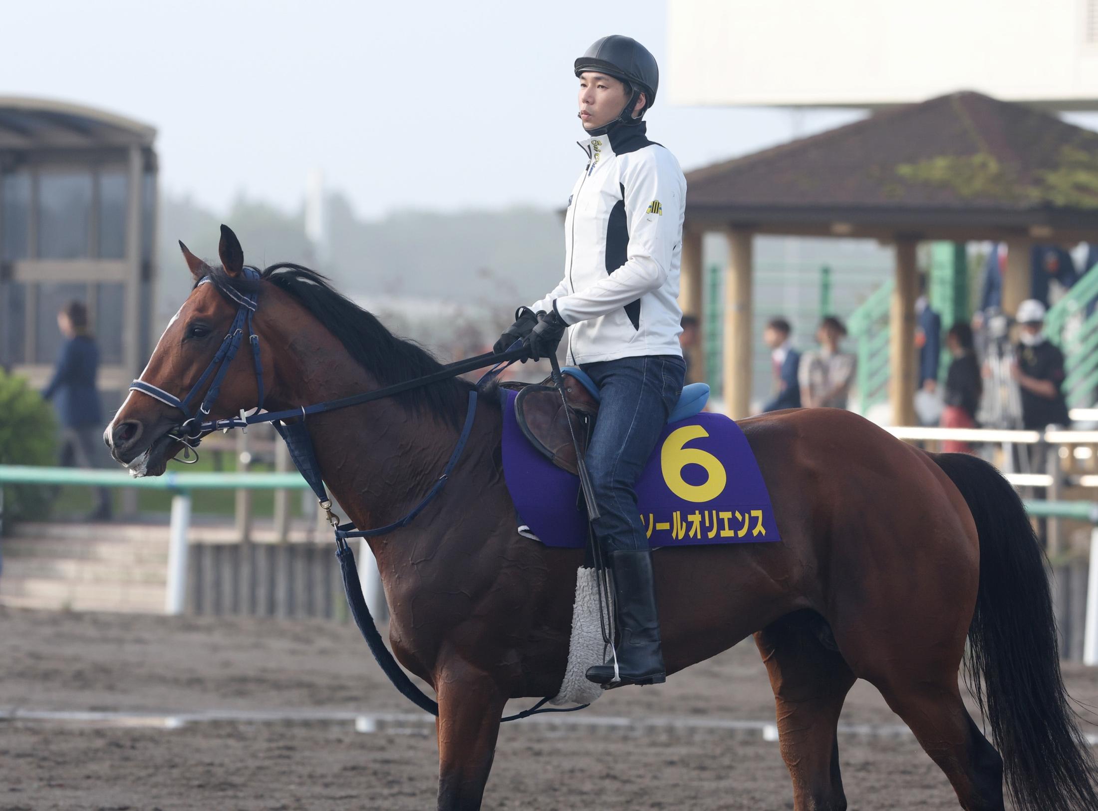 【宝塚記念】ソールオリエンス　軽快な脚取り　手塚久師「結果は出ていないけど、今年は調子がいいんだよ」