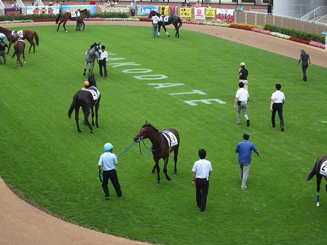 【函館5R新馬戦結果】カイショーが逃げ切り完勝 ハギノトップレディのレコードを46年ぶりに更新