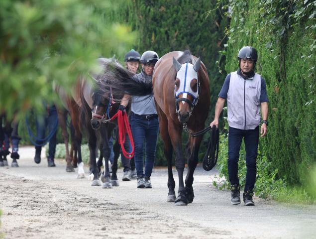 【宝塚記念】武豊騎手騎乗のメイショウタバルは落ち着いて周回　石橋調教師「引っかかっている感じはなかった」