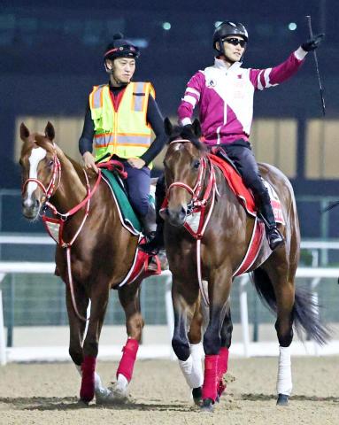 シンエンペラーの愛チャンピオンSは「具合が良ければ」と矢作調教師　鞍上は坂井瑠星騎手を予定　フォーエバーヤングは「予定通り」