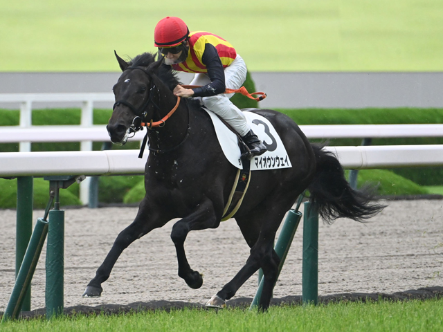 【阪神5R新馬戦結果】キズナ産駒マイオウンウェイが逃げ切り勝ち