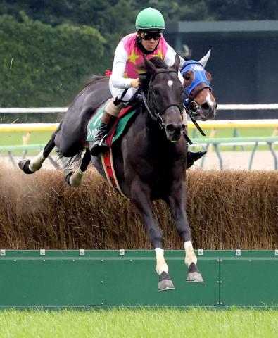 【東京ジャンプS】ジューンベロシティが見事に3連覇　高田潤騎手「さすがだなと」