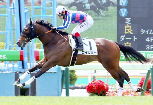 【函館5R・2歳新馬】芝1000メートルでカイショー快勝　ハギノトップレディの2歳レコード46年ぶり更新