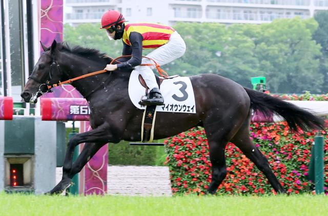 【阪神5R・2歳新馬】母が重賞勝ち馬のマイオウンウェイが完勝　母子に騎乗の松山弘平騎手「強い競馬だった」