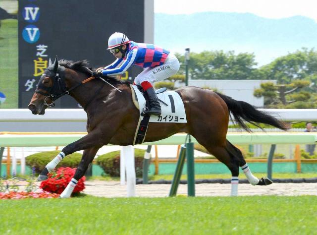 【函館5R・新馬戦】カイショー衝撃レコードV　池添「稽古通り走れば勝てると思っていた」